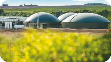 L'énergie verte via le biogaz